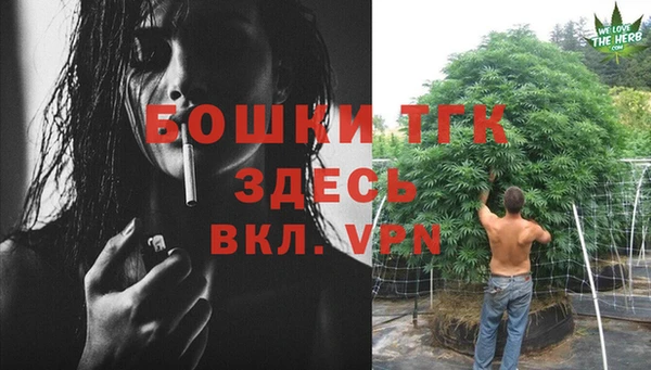 PSILOCYBIN Майский