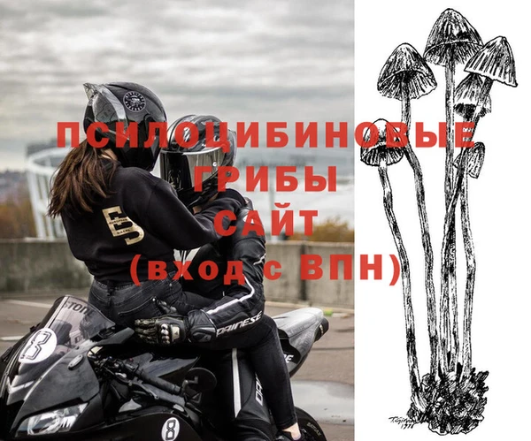 PSILOCYBIN Майский